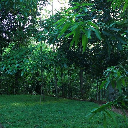 Abberny Villa Midigama East Ngoại thất bức ảnh