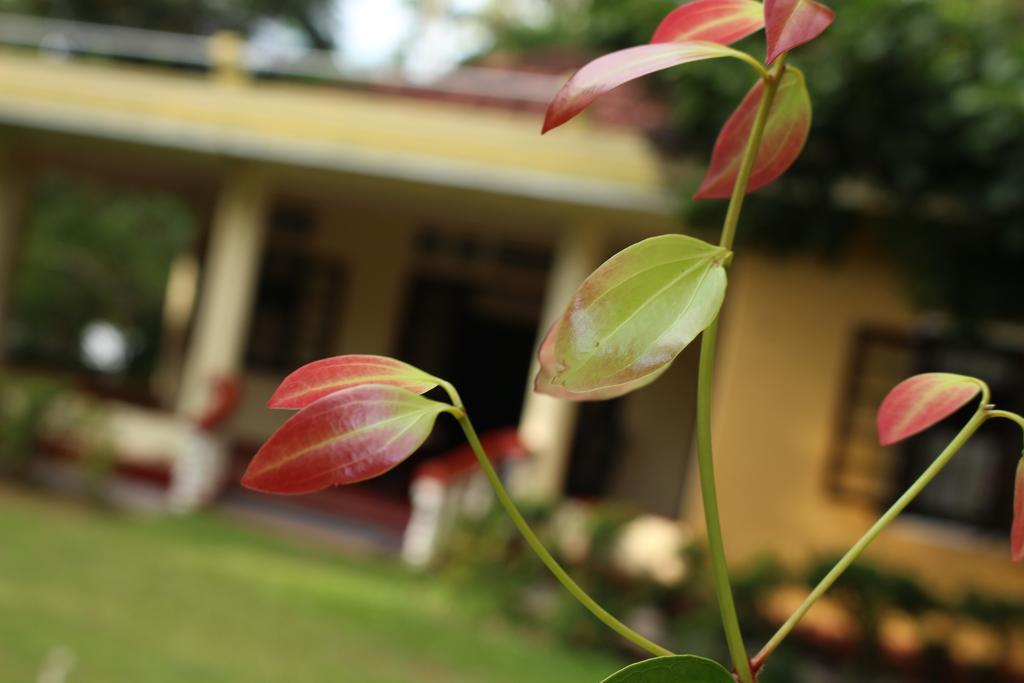 Abberny Villa Midigama East Phòng bức ảnh
