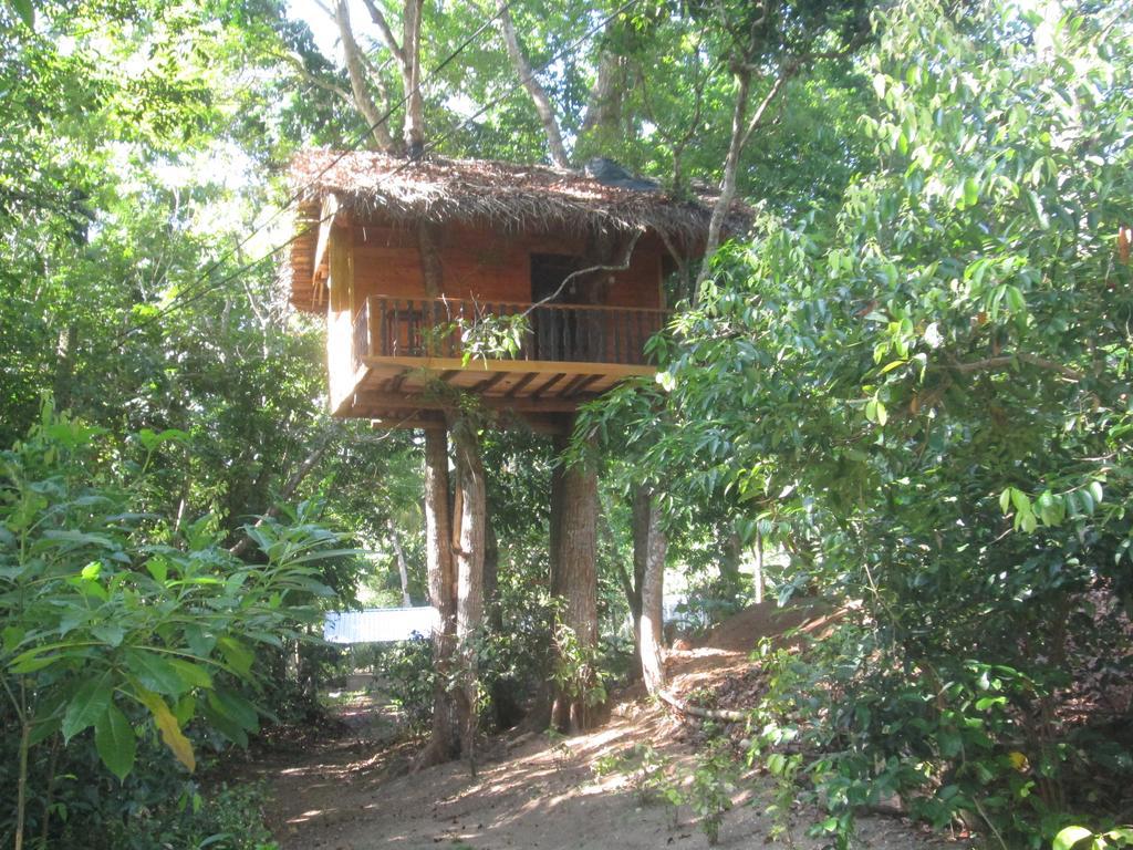 Abberny Villa Midigama East Ngoại thất bức ảnh